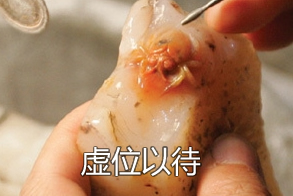 工艺美术产品演示