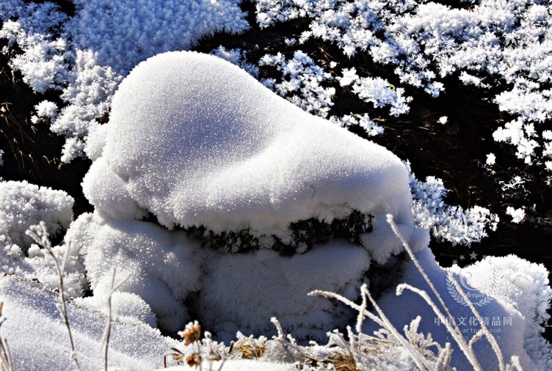 雪趣