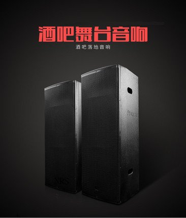 北京直供双18寸专业舞台会议音响酒吧专业KTV包房舞蹈专业音箱