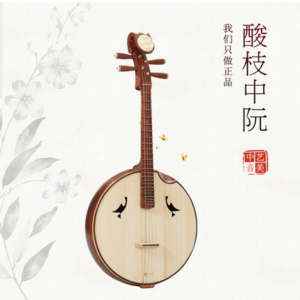 中阮乐器专业酸枝木中阮专业演奏考级中阮民族乐器送全套配件