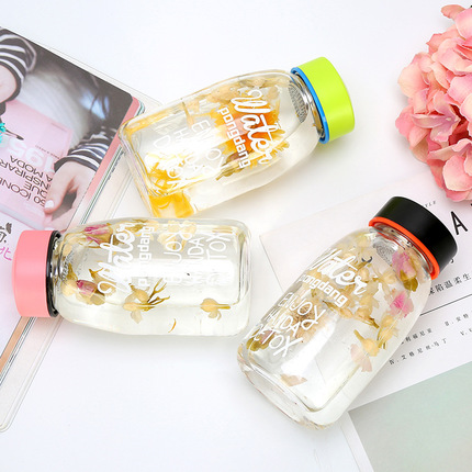 韩版pongdangwater玻璃杯过滤网泡花茶水壶大容量礼品定制水瓶