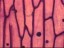 892062715_619511725.64x64
