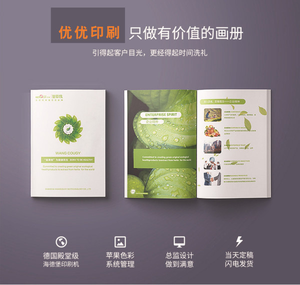 定制公司宣传画册说明书 宣传单产品图册宣传册样本画册印刷厂家