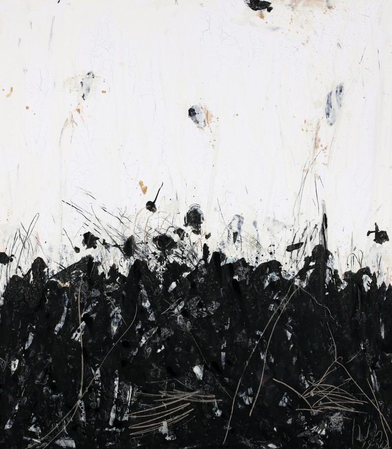 黑白之翼  纸面综合材料  144.5X167CM   2015