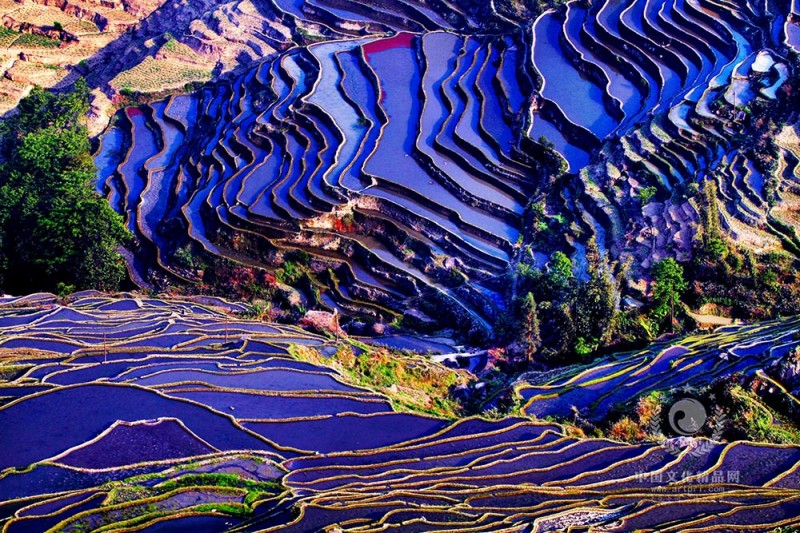 江山如画20.1