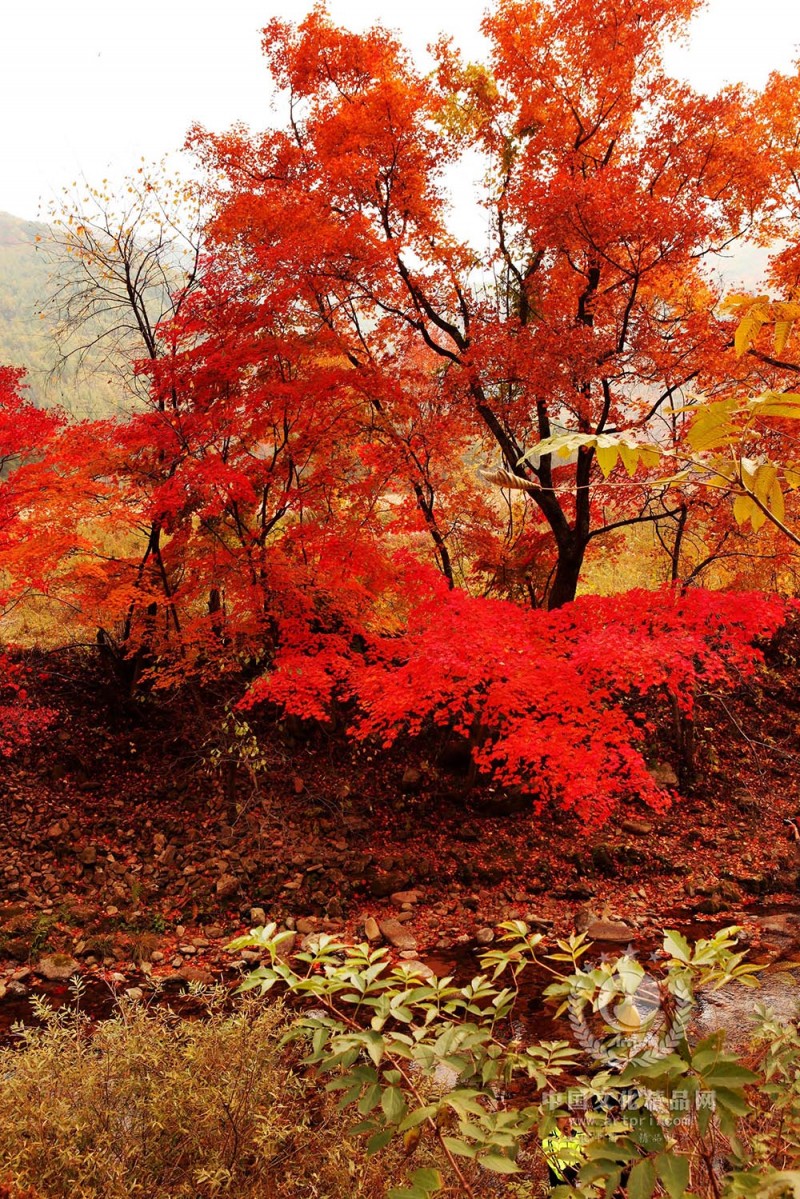 江山如画75.1