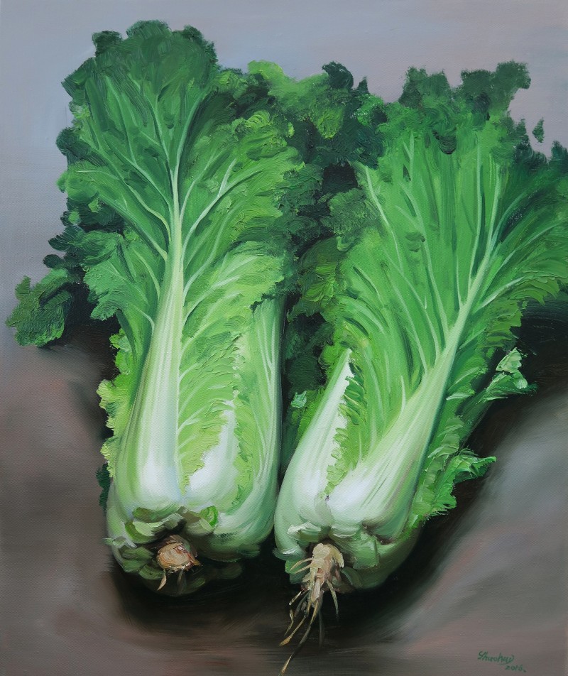 《白菜写生》60×50cm 布面油画 2016年（天津展览）