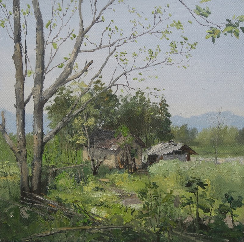 《屏山春色之五》60×60cm 布面油画 2017年