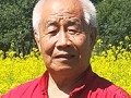 书画 (1)