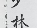 书画 (4)